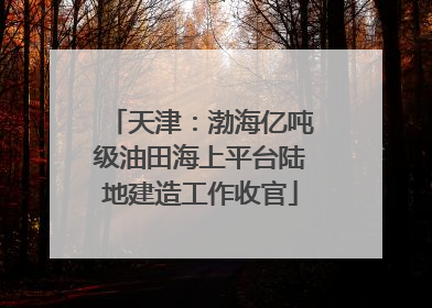 天津：渤海亿吨级油田海上平台陆地建造工作收官