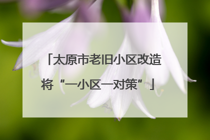太原市老旧小区改造将“一小区一对策”