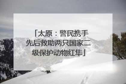 太原：警民携手 先后救助两只国家二级保护动物红隼