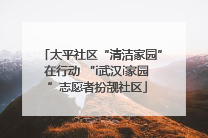 太平社区“清洁家园”在行动 “i武汉i家园”志愿者扮靓社区