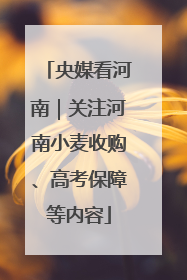 央媒看河南｜关注河南小麦收购、高考保障等内容