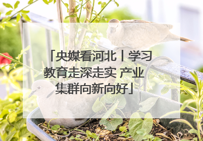 央媒看河北丨学习教育走深走实 产业集群向新向好