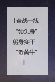 奋战一线“领头雁” 躬身实干“老黄牛”