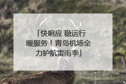 快响应 稳运行 暖服务！青岛机场全力护航雷雨季