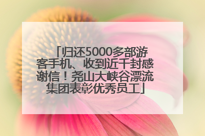 归还5000多部游客手机、收到近千封感谢信！尧山大峡谷漂流集团表彰优秀员工