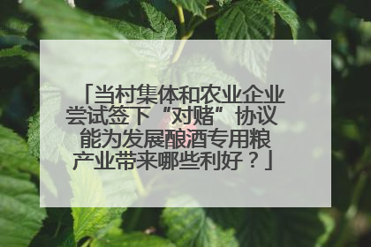 当村集体和农业企业尝试签下“对赌”协议 能为发展酿酒专用粮产业带来哪些利好？
