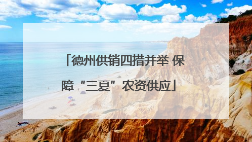 德州供销四措并举 保障“三夏”农资供应