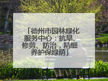 德州市园林绿化服务中心：抗旱、修剪、防治，精细养护保绿荫