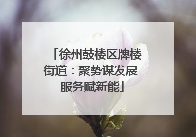 徐州鼓楼区牌楼街道：聚势谋发展 服务赋新能