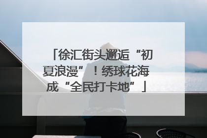 徐汇街头邂逅“初夏浪漫”！绣球花海成“全民打卡地”