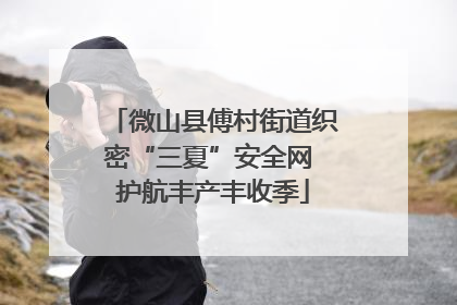 微山县傅村街道织密“三夏”安全网 护航丰产丰收季