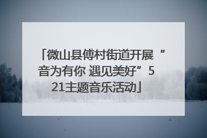 微山县傅村街道开展“音为有你 遇见美好”521主题音乐活动