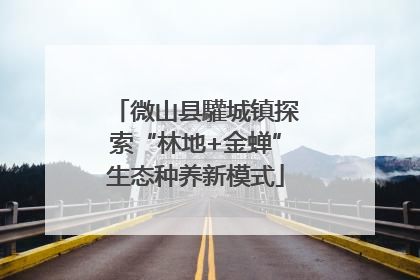 微山县驩城镇探索“林地+金蝉”生态种养新模式