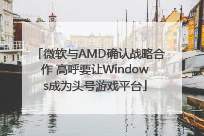 微软与AMD确认战略合作 高呼要让Windows成为头号游戏平台