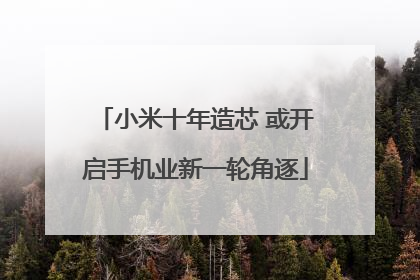小米十年造芯 或开启手机业新一轮角逐