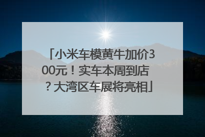 小米车模黄牛加价300元！实车本周到店？大湾区车展将亮相