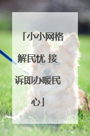 小小网格解民忧 接诉即办暖民心