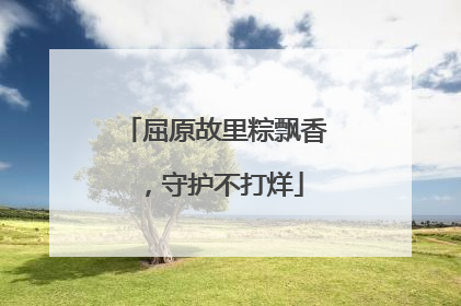 屈原故里粽飘香，守护不打烊