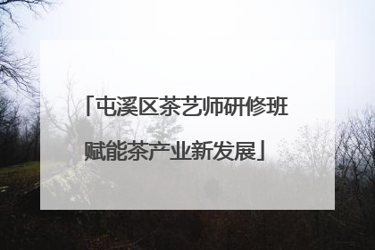 屯溪区茶艺师研修班赋能茶产业新发展