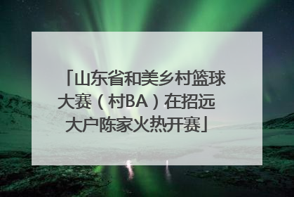 山东省和美乡村篮球大赛（村BA）在招远大户陈家火热开赛