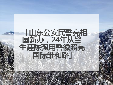 山东公安民警亮相国新办，24年从警生涯陈强用警徽照亮国际维和路