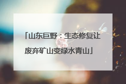 山东巨野：生态修复让废弃矿山变绿水青山