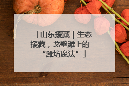 山东援藏｜生态援藏，戈壁滩上的“潍坊魔法”