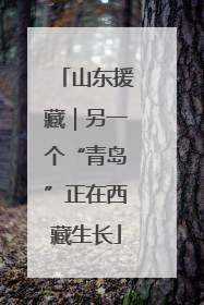 山东援藏｜另一个“青岛”正在西藏生长