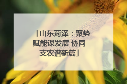 山东菏泽：聚势赋能谋发展 协同支农谱新篇