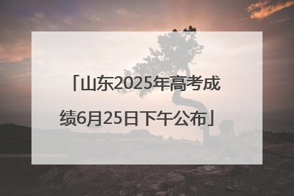 山东2025年高考成绩6月25日下午公布
