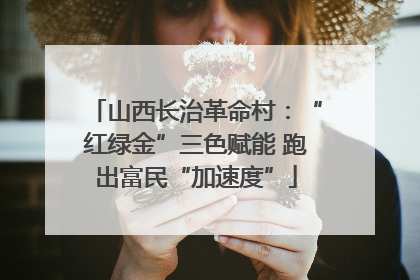山西长治革命村：“红绿金”三色赋能 跑出富民“加速度”