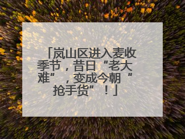 岚山区进入麦收季节，昔日“老大难”，变成今朝“抢手货”！