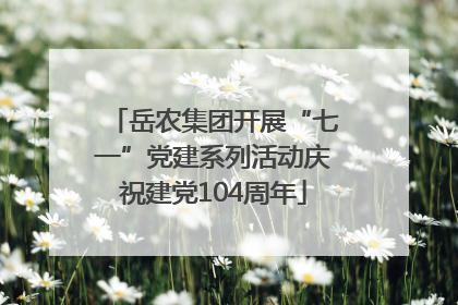 岳农集团开展“七一”党建系列活动庆祝建党104周年
