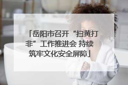 岳阳市召开“扫黄打非”工作推进会 持续筑牢文化安全屏障
