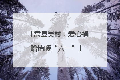 嵩县吴村：爱心捐赠情暖“六一”