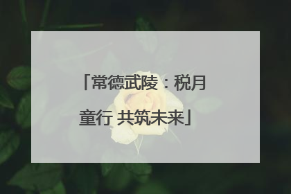 常德武陵：税月童行 共筑未来