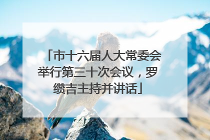 市十六届人大常委会举行第三十次会议，罗缵吉主持并讲话