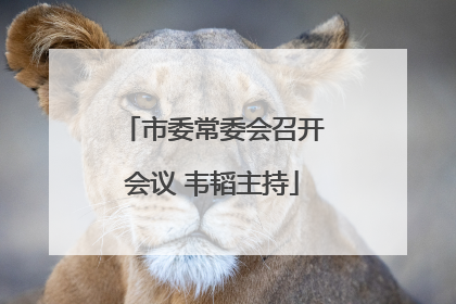 市委常委会召开会议 韦韬主持