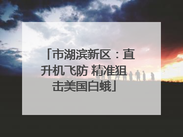 市湖滨新区：直升机飞防 精准狙击美国白蛾