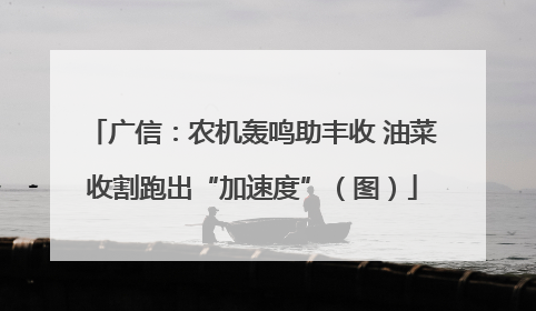 广信：农机轰鸣助丰收 油菜收割跑出“加速度”（图）