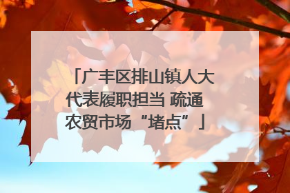 广丰区排山镇人大代表履职担当 疏通农贸市场“堵点”
