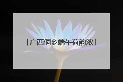 广西侗乡端午荷韵浓
