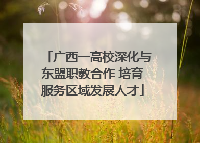 广西一高校深化与东盟职教合作 培育服务区域发展人才