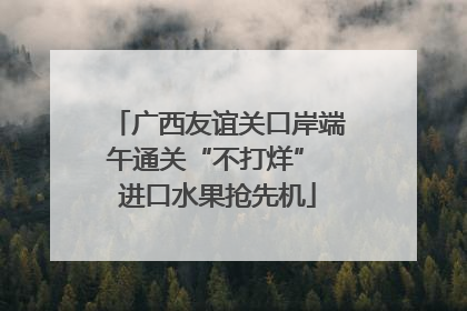 广西友谊关口岸端午通关“不打烊” 进口水果抢先机