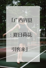 广西容县：夏日荷花引客来