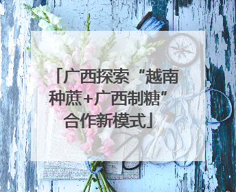 广西探索“越南种蔗+广西制糖”合作新模式