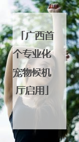 广西首个专业化宠物候机厅启用