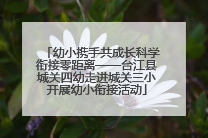 幼小携手共成长科学衔接零距离——台江县城关四幼走进城关三小开展幼小衔接活动