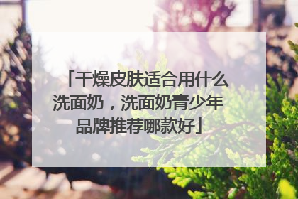 干燥皮肤适合用什么洗面奶，洗面奶青少年品牌推荐哪款好