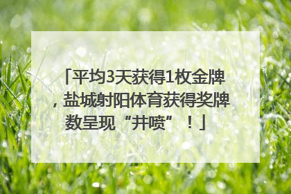 平均3天获得1枚金牌,盐城射阳体育获得奖牌数呈现“井喷”!